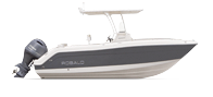 Center Console boats for sale in 